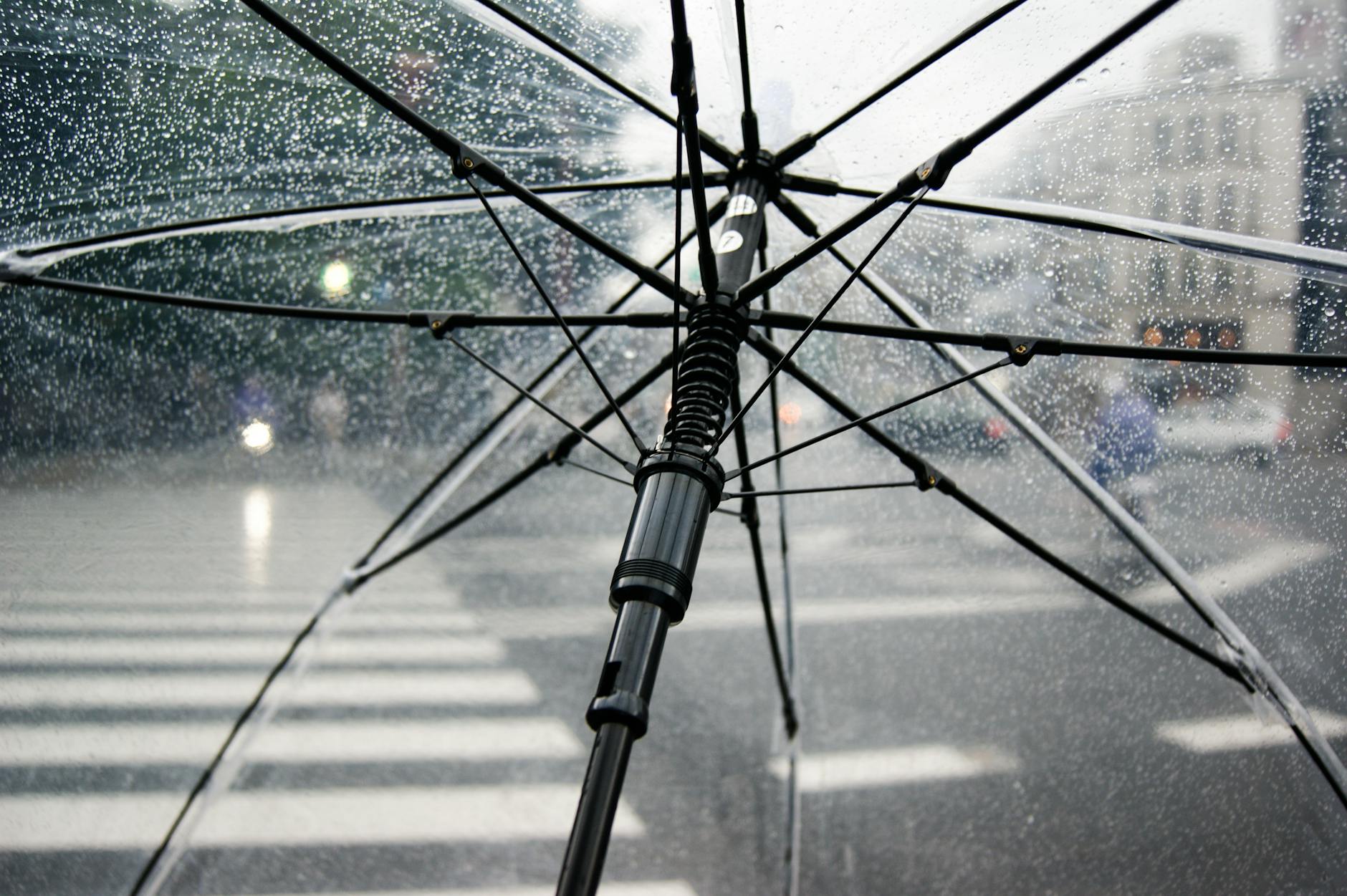 Person holding umbrella for protection