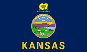 Kansas Insurance Guide - State Flag