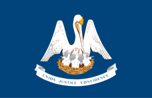 Louisiana Insurance Guide - State Flag