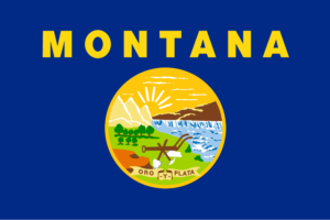 Montana Insurance Guide - State Flag