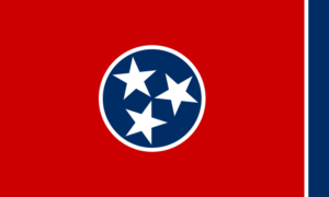 Tennessee Insurance Guide - State Flag