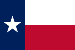 Texas Insurance Guide - State Flag
