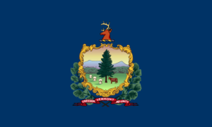 Vermont Insurance Guide - State Flag