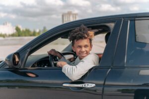 no driving history