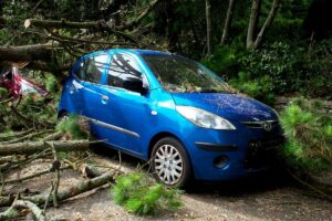 Chubb car insurance review