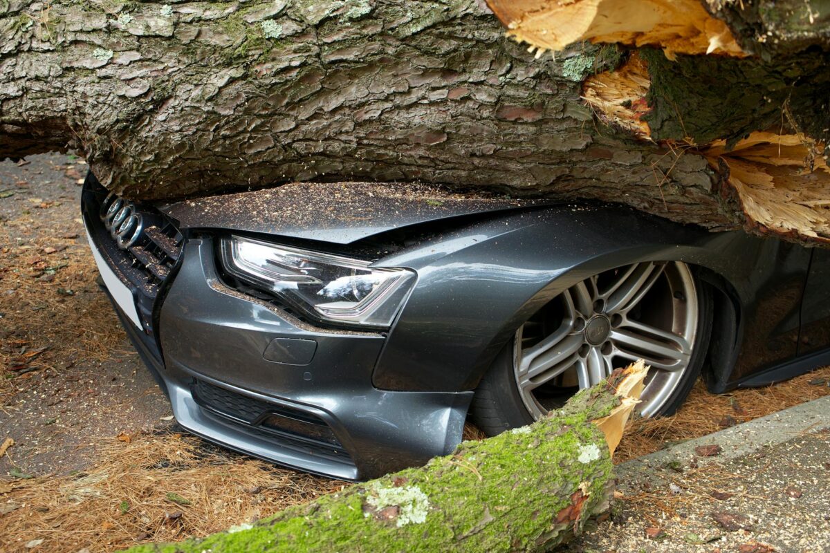 CSAA car insurance review