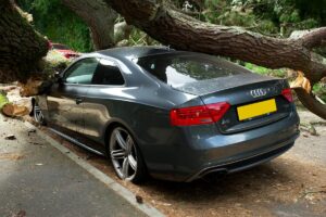 insurer goes bankrupt
