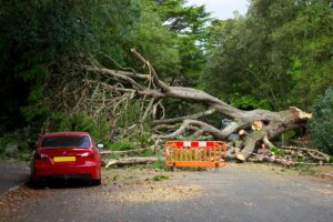 engine failure insurance