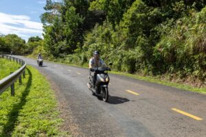 moped scooter insurance