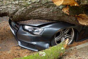 storm damage claim