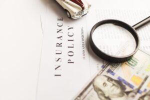 additional insured meaning